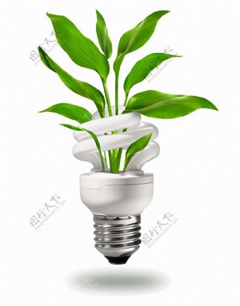 绿色植物节能灯泡免抠png透明图层素材