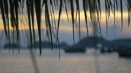 越南海港日落的焦点镜头