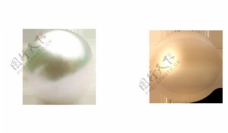 贝壳珍珠图片免抠png透明图层素材