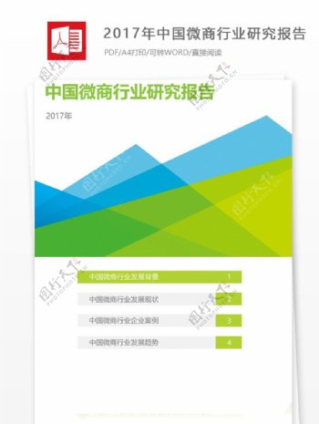 中国微商行业研究报告