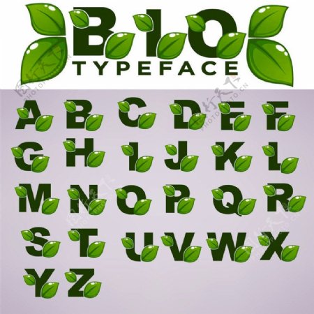 植物叶子字母字体图片