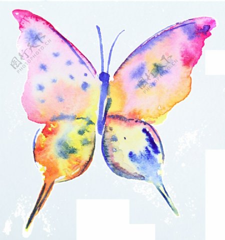 水彩蝴蝶卡通透明装饰素材