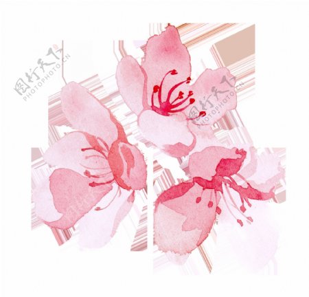 花朵蝴蝶卡通透明装饰素材