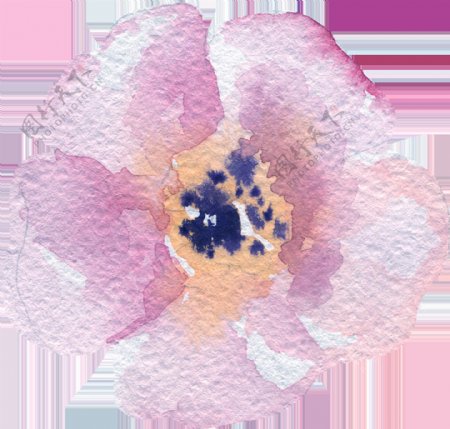 绘画粉色花卉透明素材