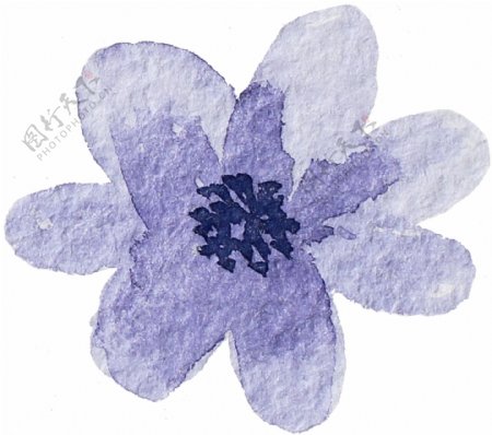 紫色淡雅花卉透明素材