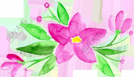 粉色优雅花卉卡通透明素材