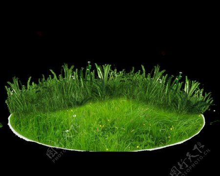 圆形草坪透明素材