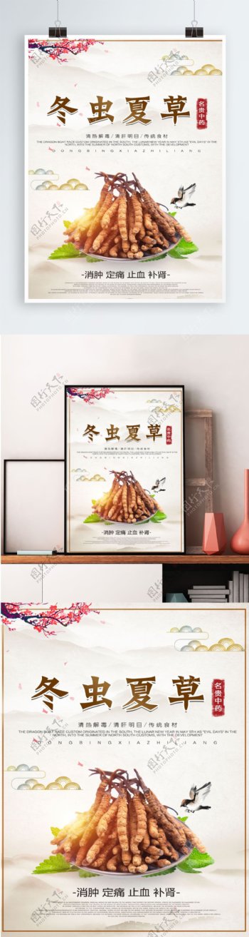 中国风冬虫夏草展板设计
