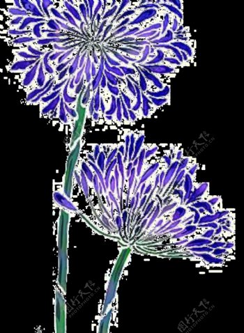 清新蓝色植物手绘菊花装饰元素