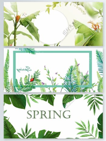 春季绿植清新广告背景海报psd背景