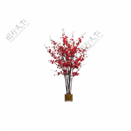 鲜艳红色花朵花束实物元素