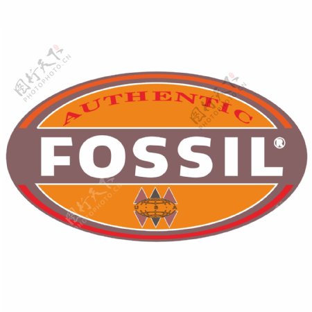 Fossil标志
