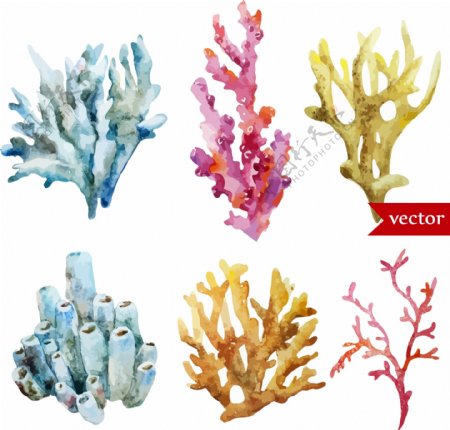 美丽的水彩绘珊瑚