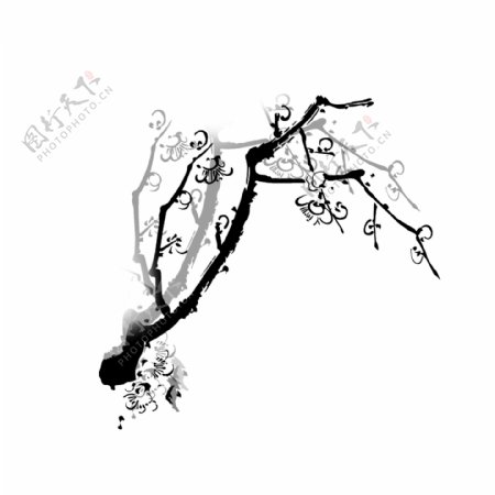 黑色水彩中国风梅花树枝