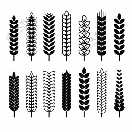 14款黑色小麦合集插画矢量图