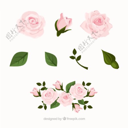 4款粉色玫瑰花和4款叶子矢量图