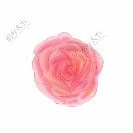 手绘小清新红玫瑰粉玫瑰花元素