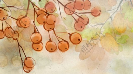 水彩绘中国风柿子树插画背景设计