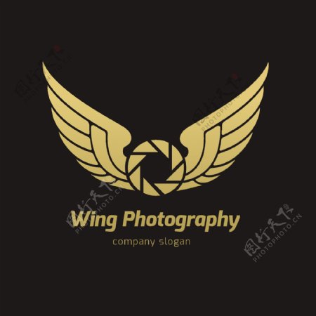 翼wing摄影商标logo模板
