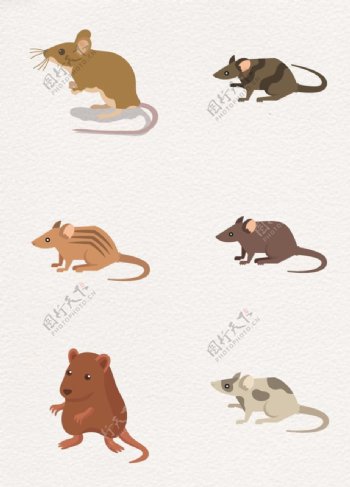 可爱花纹设计卡通老鼠
