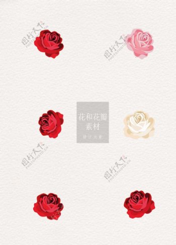 玫瑰花朵花和花瓣ai矢量元素