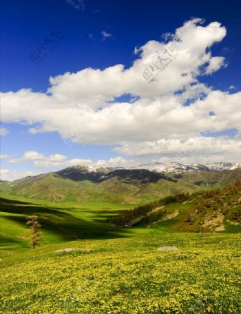 北疆风光