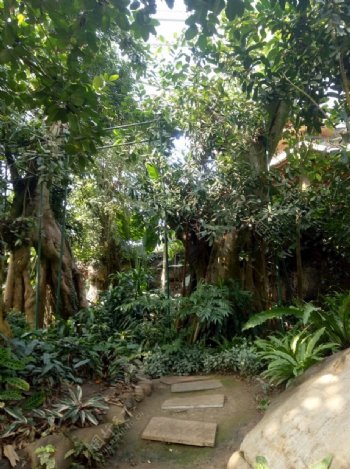 中山植物园温室