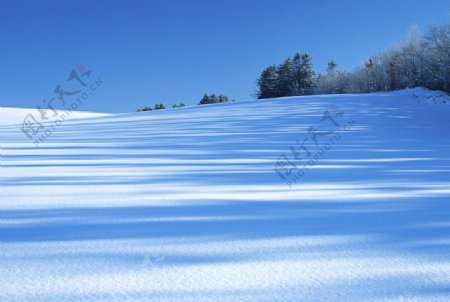 雪原美景