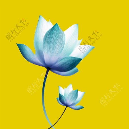 手绘中国风蓝莲花可商用元素