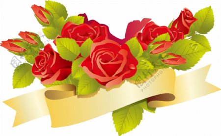 精美浪漫红色玫瑰花矢量图