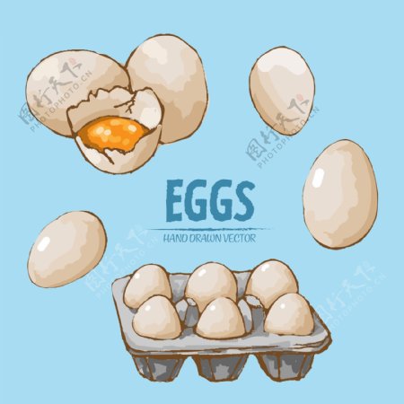 手绘食材鸡蛋
