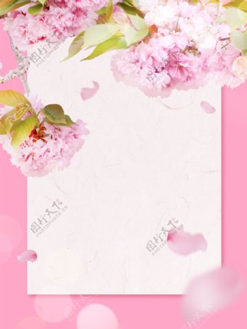 粉色花朵贺卡节日背景素材