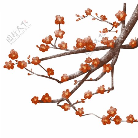 彩绘中国风梅花树枝设计可商用元素