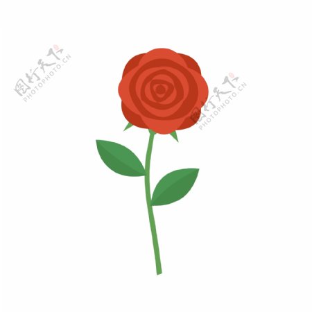 卡通扁平优雅红色玫瑰花元素
