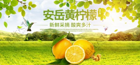 电商淘宝安岳黄柠檬banner