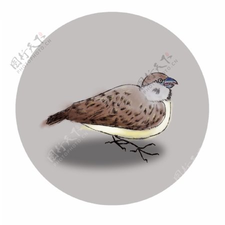 麻雀国画动物鸟类水墨画小鸟棕色免抠元素