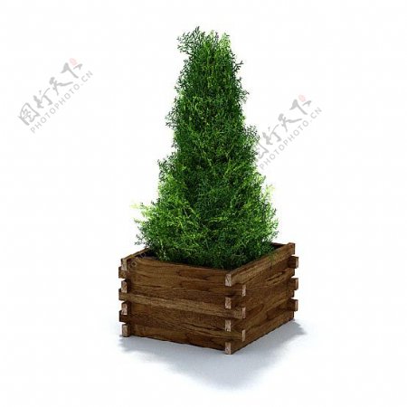精美绿色植物盆栽3d模型