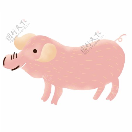 卡通手绘猪年猪元素可商用