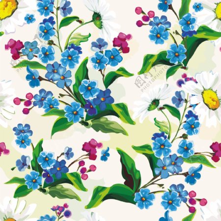 蓝色小花和雏菊背景