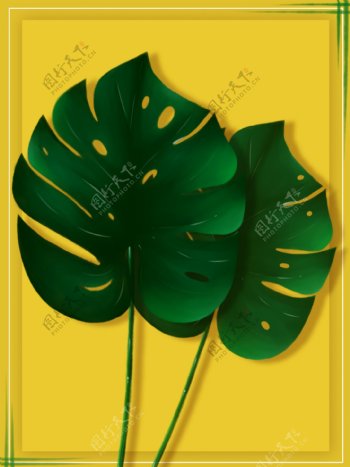 纯手绘原创绿色植物花卉叶子水彩边框背景