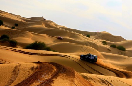 大沙头文化旅游区