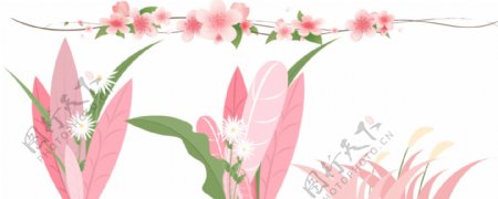桃花粉色植物叶子