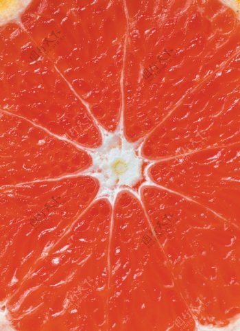 红柚切开果肉肌理图