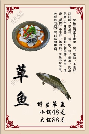 草鱼鱼锅