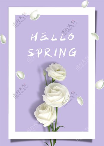 紫色创意白玫瑰春季促销海报