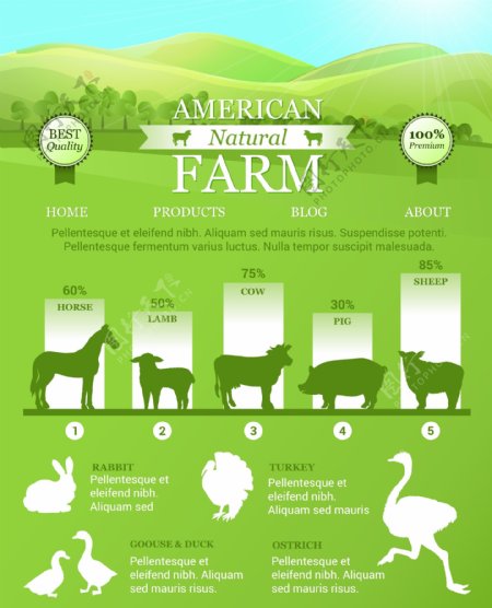 美国农场信息图表有明亮的风景农场动物
