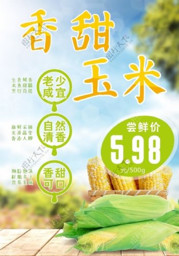 新鲜玉米海报宣传
