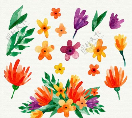 17款彩绘可爱花卉和叶子