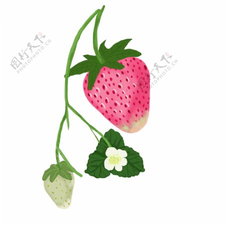 手绘草莓可商用元素