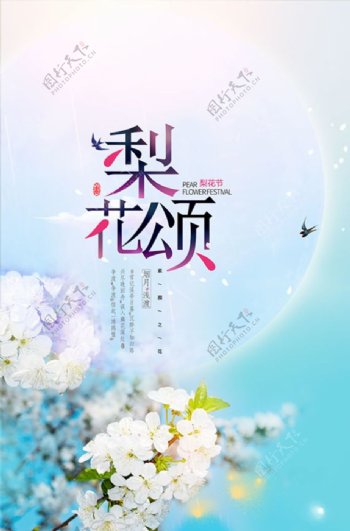 春季梨花节海报
